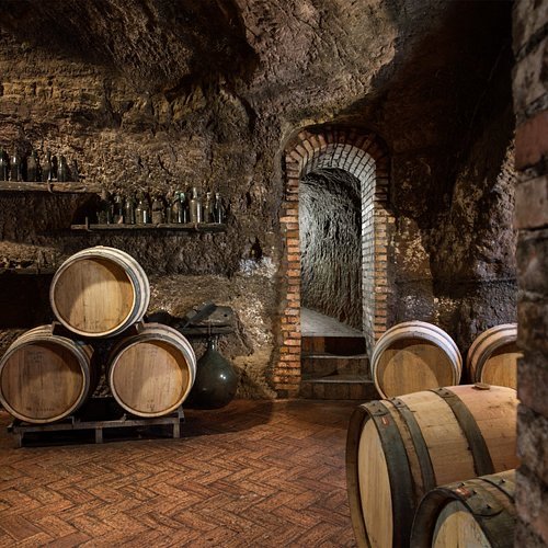 Cantine scavate nel tufo con botti di Aglianico del Vulture